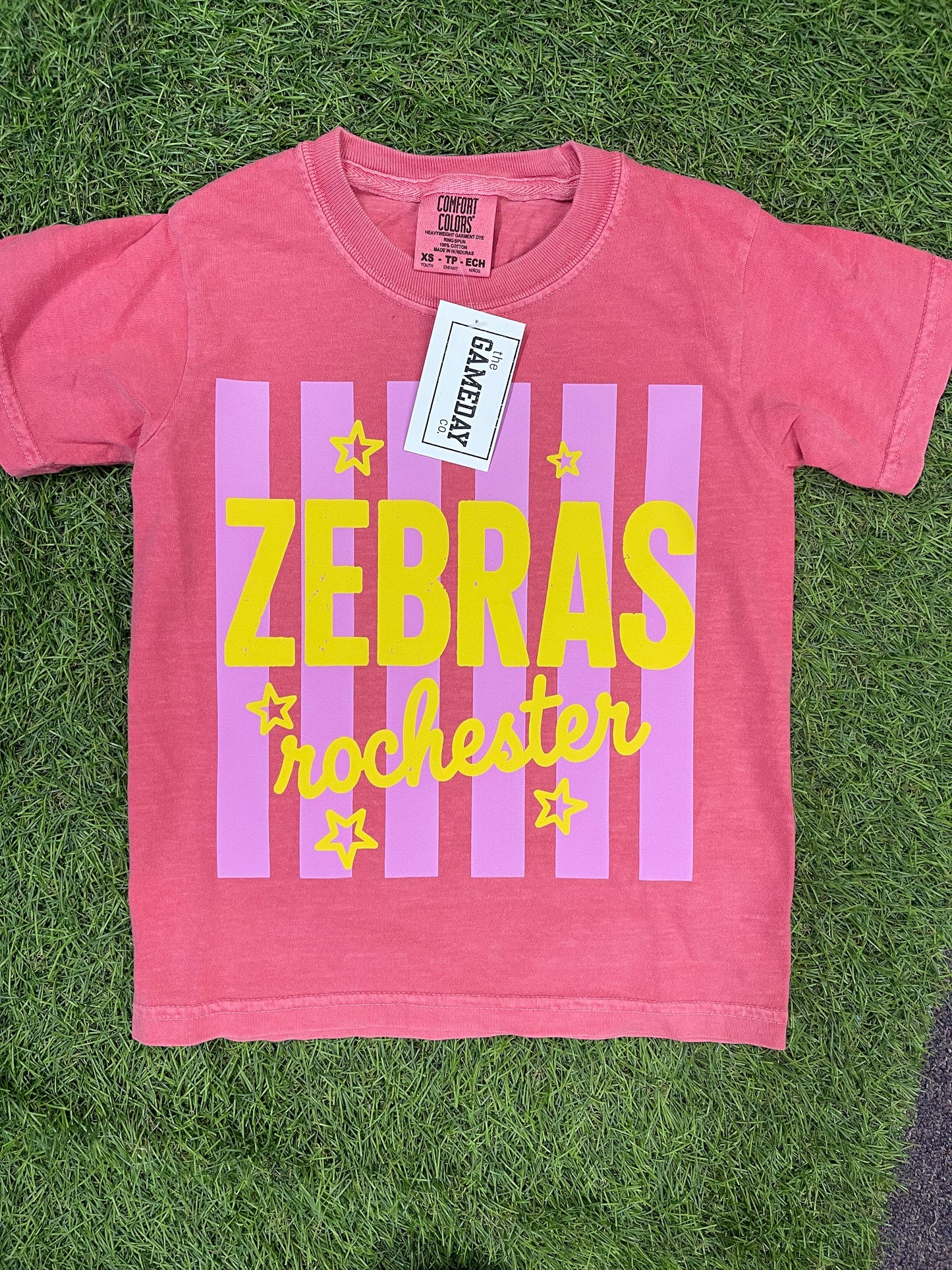 Striped Colorful Zebras-youth