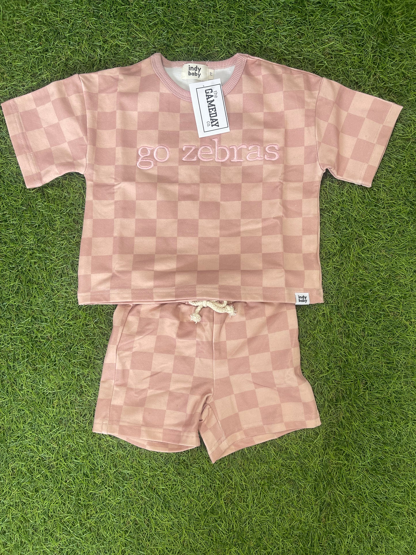 go zebras-IND