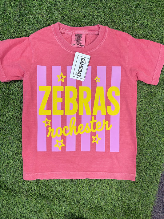 Striped Colorful Zebras-youth