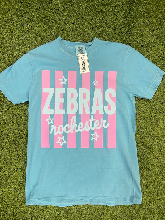 Striped Colorful Zebras-adult