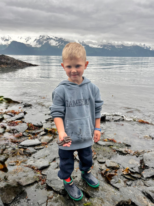 Youth Hoodie Gameday Co- Slate Blue