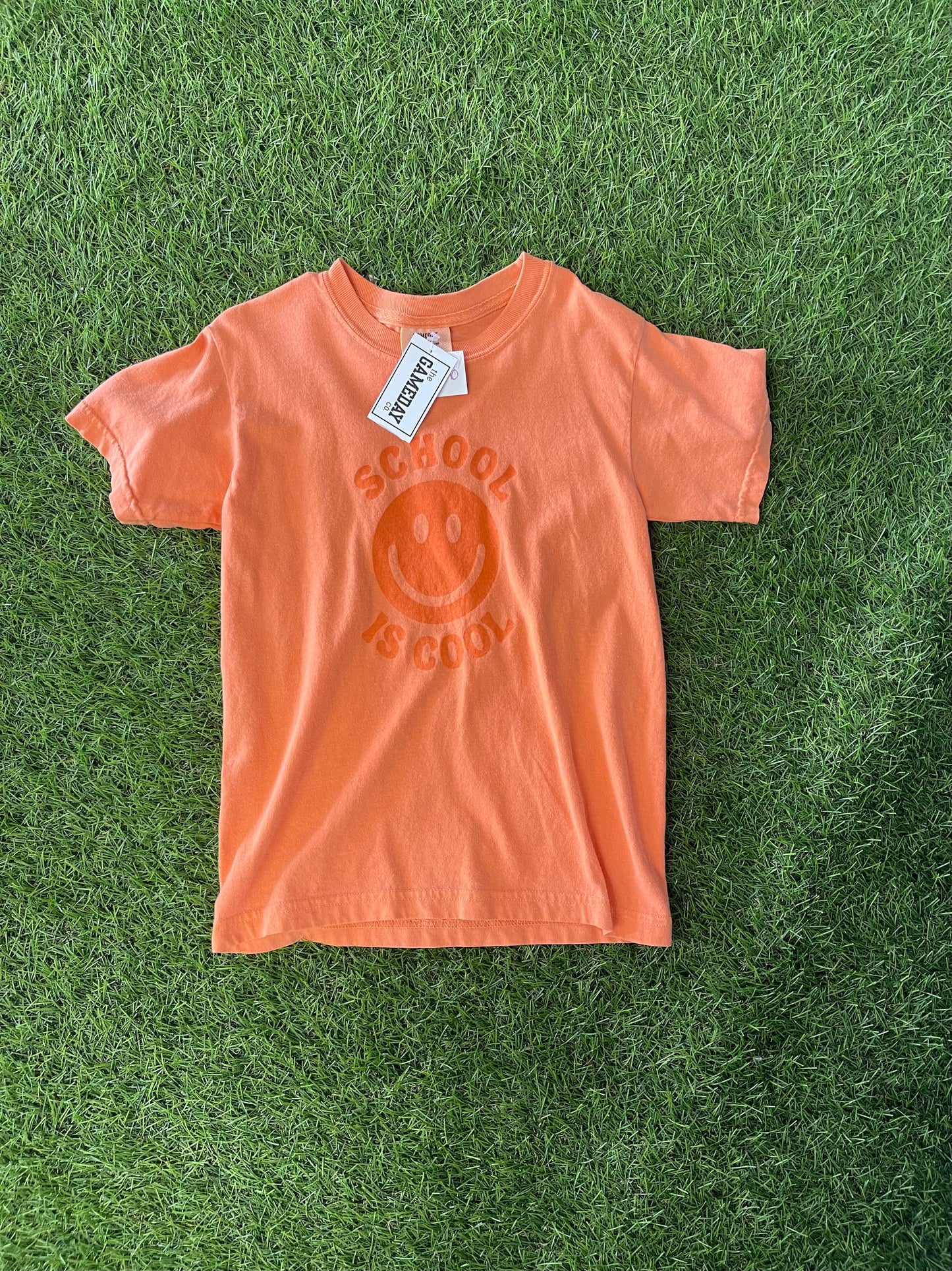 SCHOOL IS COOL YOUTH