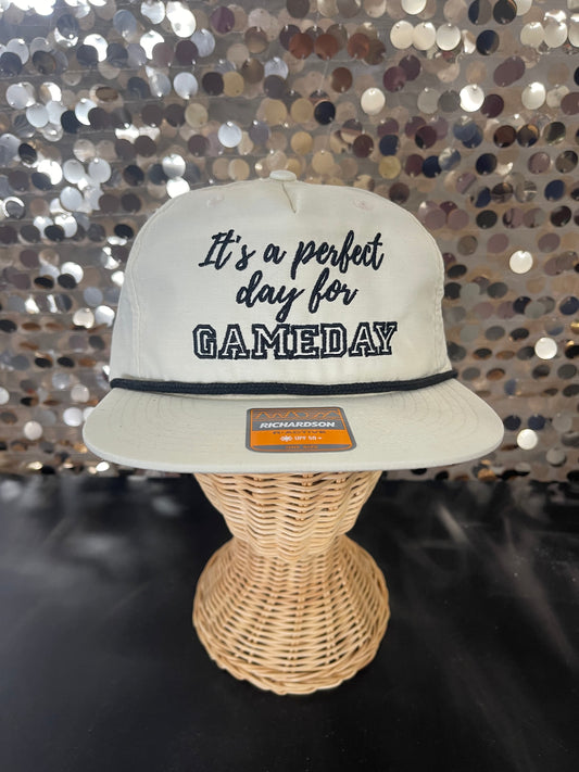 It's a perfect day for GAMEDAY- Hat